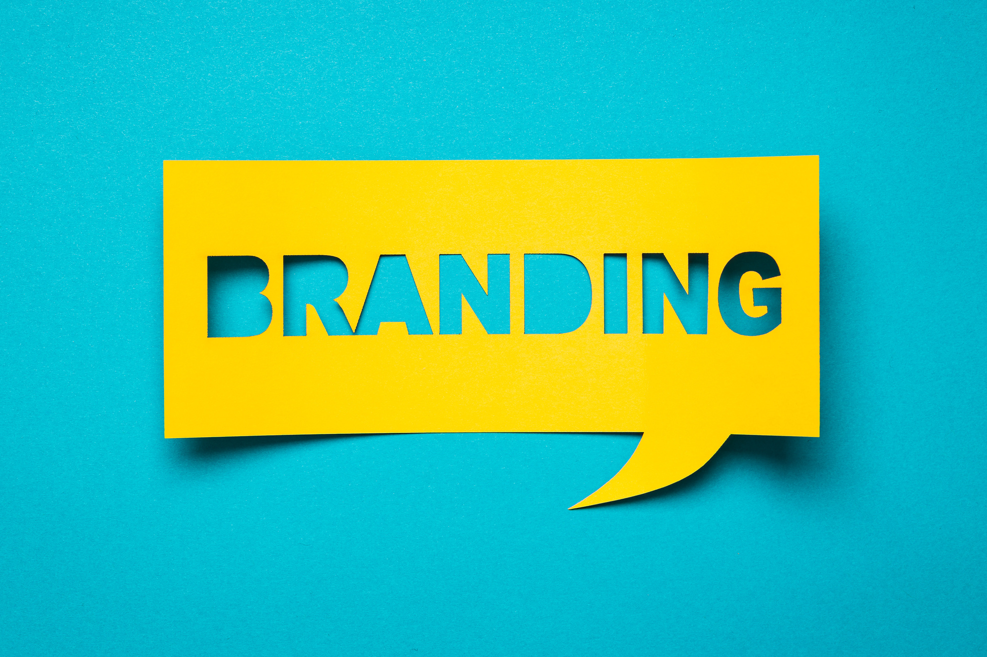 nonprofit branding